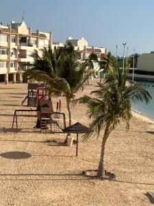 zwei Palmen an einem Sandstrand mit Gebäuden in der Unterkunft شاليه La veranda in Durrat Al-Arus