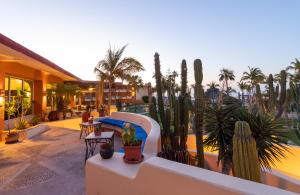 a hotel patio with cacti and plants on thevisor at Posada Real Los Cabos in San José del Cabo