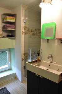 ein Bad mit einem Waschbecken und einer Dusche in der Unterkunft Apartment in Grabrovec - Koroska Unterkärnten 44968 in Metlika