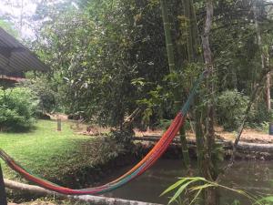 a hammock hanging from a tree in a garden at Finca Bambú Del Valle in Santa Clara