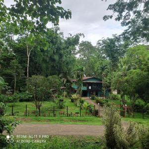 una casa en medio de un parque en Finca Bambú Del Valle en Santa Clara