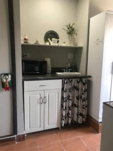 a kitchen with a sink and a microwave at Mini depa # 5 zona Hotelera planta baja in Mexicali
