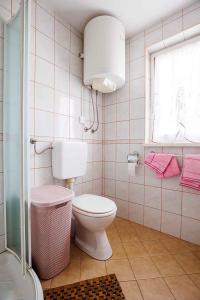 a bathroom with a toilet and a window at Holiday home in Adlesici - Dolenjska & Bela krajina Unter- & Weißkrain 44970 in Adlešiči