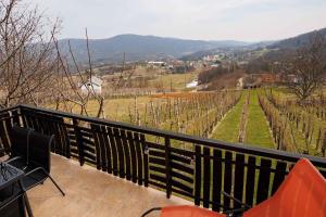 a balcony with a view of a vineyard at Holiday home in Adlesici - Dolenjska & Bela krajina Unter- & Weißkrain 44970 in Adlešiči