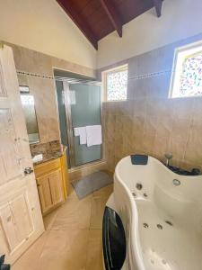 a bathroom with a large tub and a shower at Da-Vis By The Ocean in Saint Philip