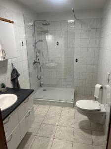 y baño con ducha, aseo y lavamanos. en Eskivellir, en Hafnarfjördur