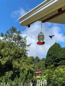 Un oiseau volant à côté d'une maison avec un oiseau dans l'établissement Cabaña Mamá Elia, à Trinidad