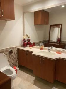 een badkamer met een wastafel en een toilet bij Amazing Apartment in Center tetouan in Tetouan