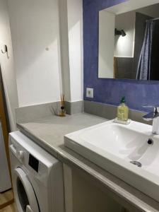 La salle de bains est pourvue d'un lavabo et d'un lave-linge. dans l'établissement Little garden, à Saint-Cyr-sur-Mer