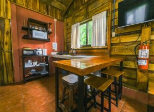 a kitchen with a counter and a sink in a cabin at Canto del Tucán Lodge and Farm in Golfito