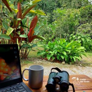 Canto del Tucán Lodge and Farm في غولفيتو: طاولة مع لاب توب وآلة تصوير وكوب