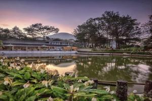Resort Agrowisata Perkebunan Tambi في Kejajar: بركة في حديقة فيها اشجار ومبنى