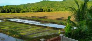 Blick auf ein Feld und einen Fluss in der Unterkunft Peaceful and Romantic Country Home in Kabalwa