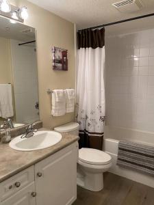 a bathroom with a sink and a toilet and a shower at Downtown Kelowna 2 Bdrm 2 Bath Waterfront Condo in Kelowna