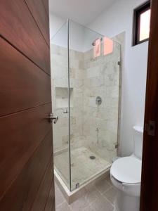 een badkamer met een douche, een toilet en een glazen deur bij rooms7 in Bacalar