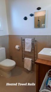 uma casa de banho com um WC, um lavatório e um espelho. em 113 On Park em Winton