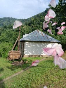 een stapel roze bloemen voor een gebouw bij Ruzigar Guesthouse in Sım