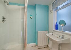 PenmaenpoolにあるBryn Hyfrydのバスルーム(シャワー、洗面台、トイレ付)