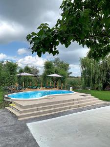 a large swimming pool with chairs and umbrellas at Morena Mansion in Murighiol
