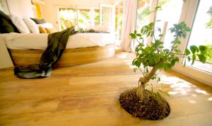 a bedroom with a bed and a potted plant on the floor at Somewhere Only We Know in Baan Khai