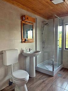 uma casa de banho com um WC, um lavatório e um chuveiro em Morena Mansion em Murighiol