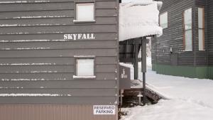 Skyfall v zimě