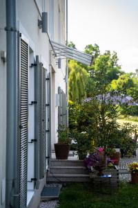 un corridoio di una casa con scale e piante di Rezydencja Villa Nova a Jelenia Góra