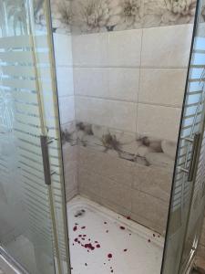 a shower with spiders on the floor in a bathroom at Riambel Paradise Inn Primary Apartment in Riambel