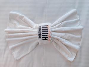 a white bow tie on a white shirt at Aparthotel AMMI Nice Lafayette in Nice