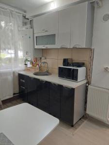 a kitchen with a sink and a microwave at AmigoHD² in Hunedoara