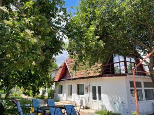 a house with blue chairs and a roof at Oaza de Verdeata in Vama Veche
