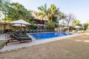 a swimming pool with lounge chairs and an umbrella at Hotel Ranthambore Regency in Sawāi Mādhopur