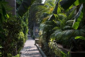 a path through a garden with palm trees at Hotel Ranthambore Regency in Sawāi Mādhopur