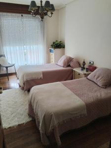 Легло или легла в стая в El Arenal