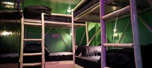マナリにあるTrippy Shiva Hostelの緑の部屋の二段ベッド