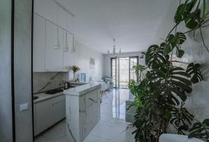 a kitchen with white cabinets and a potted plant at All Seasons in Telavi