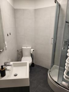a bathroom with a toilet and a sink and a shower at 7 Mila Pokoje Kutno in Kutno