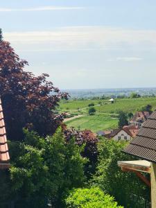 uma vista para uma vinha de uma casa em Apartment Pusteblume mit Balkon, neu teilrenoviert em Sankt Martin