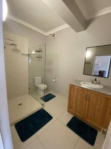 uma casa de banho com um chuveiro, um lavatório e um WC. em Auret Street Garden Cottage em Paarl