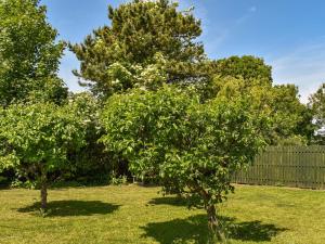 duas árvores num quintal ao lado de uma cerca em Orchard House em Langrigg
