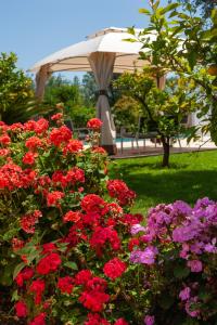 a group of flowers in front of a gazebo at Trulli Boccadoro in Ostuni