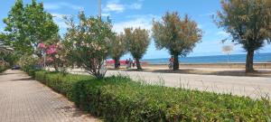 um passeio com árvores ao lado de uma praia em RosMarino_Appartamento Fronte Mare em Roseto degli Abruzzi