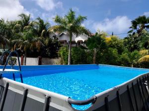 a swimming pool in front of a house with palm trees at Island Charm of Praslin in Victoria