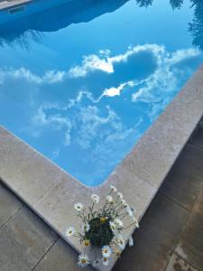 Der Swimmingpool an oder in der Nähe von Spirit of Velebit