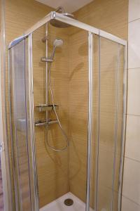 a shower with a shower head in a bathroom at Appart Lumineux 150 m de la Gare in Bourg-en-Bresse