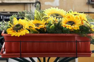 a red planter with yellow sunflowers in it at Charming Lisbon Central Apartment in Lisbon