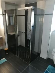 une douche avec une porte vitrée dans une salle de bain dans l'établissement Ferienwohnung Neuhaus, à Nittenau