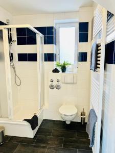 a bathroom with a shower and a toilet at zum Frühling in Schweinfurt