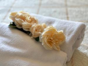 um grupo de flores sentadas em cima de uma toalha em Hotel Sylvia em Lido di Camaiore