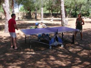 un grupo de personas de pie alrededor de una mesa de ping pong en Studio sur Pinède, en Argelès-sur-Mer